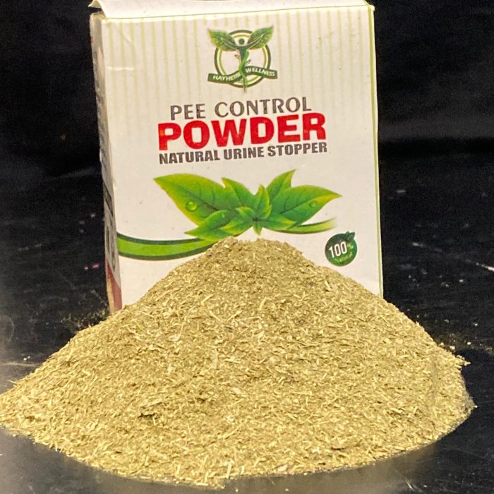 WhatsApp Image 2026-02-08 at 22.54.06 (1)